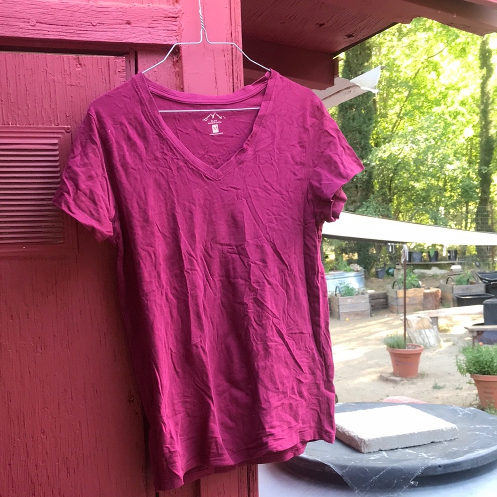 Two Short Sleeve V-Neck Tee one maroon one gray